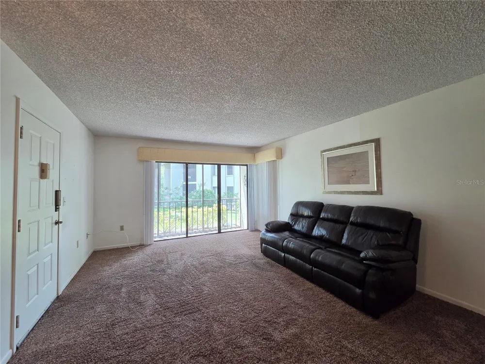 1700 PINE RIDGE WAY E #C1 Palm Harbor, FL 34684