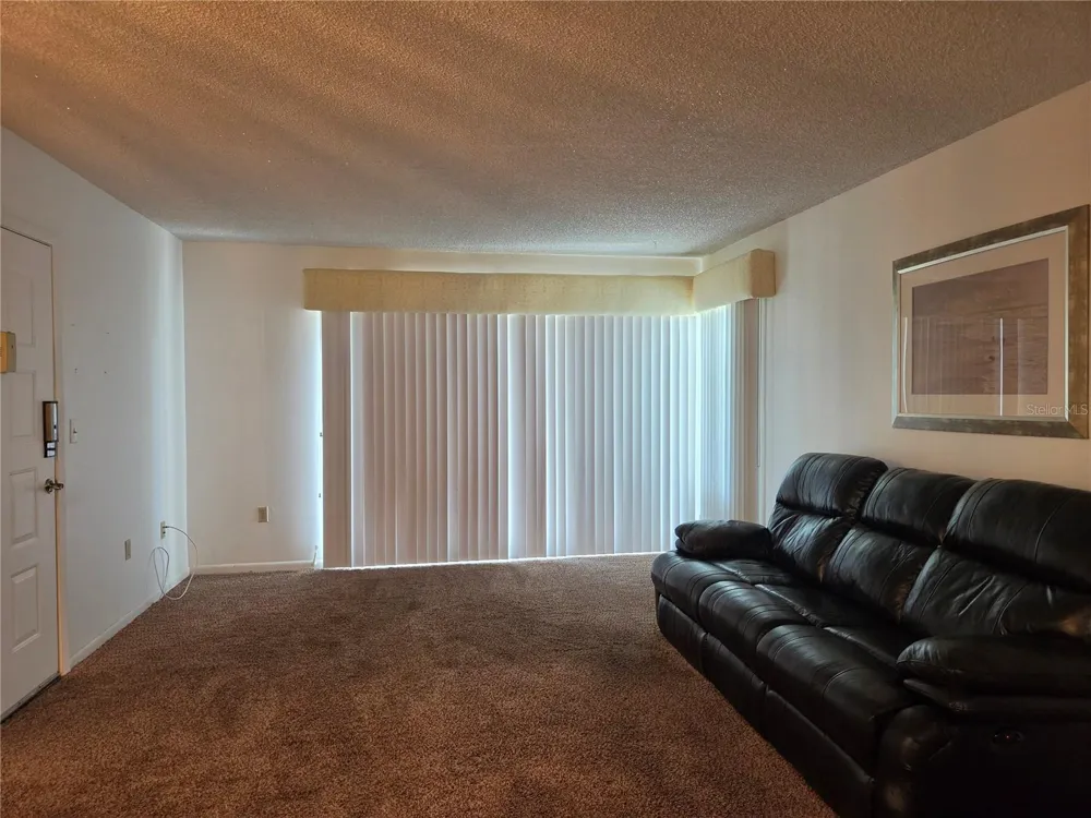 1700 PINE RIDGE WAY E #C1 Palm Harbor, FL 34684