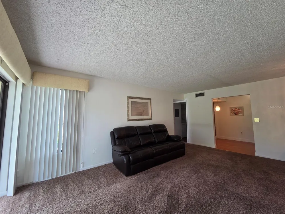 1700 PINE RIDGE WAY E #C1 Palm Harbor, FL 34684