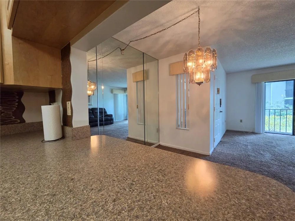 1700 PINE RIDGE WAY E #C1 Palm Harbor, FL 34684