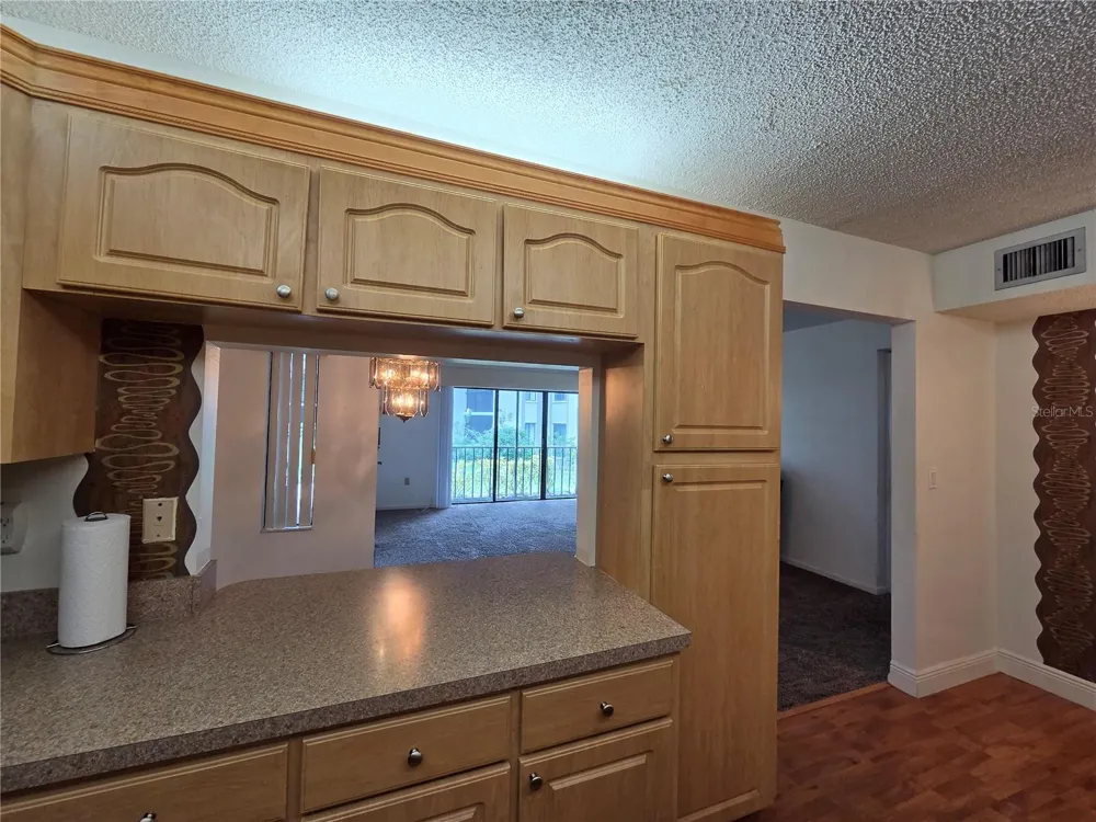 1700 PINE RIDGE WAY E #C1 Palm Harbor, FL 34684