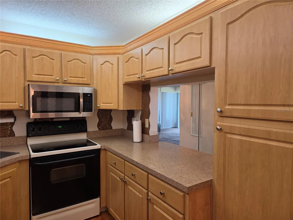 1700 PINE RIDGE WAY E #C1 Palm Harbor, FL 34684