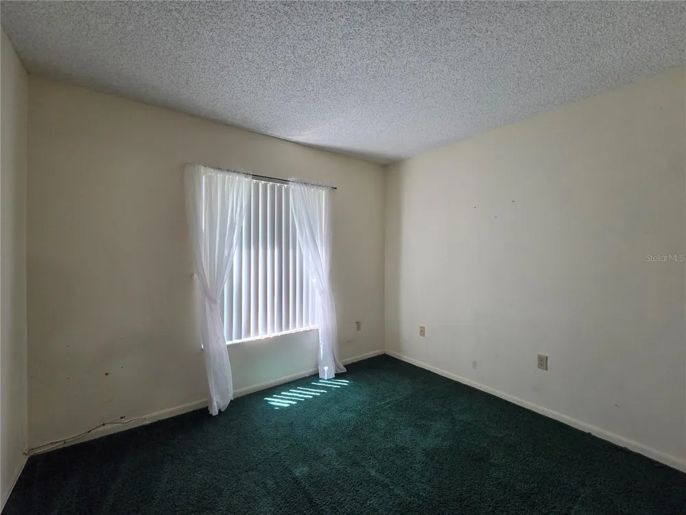 1700 PINE RIDGE WAY E #C1 Palm Harbor, FL 34684