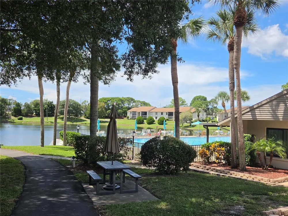 1700 PINE RIDGE WAY E #C1 Palm Harbor, FL 34684