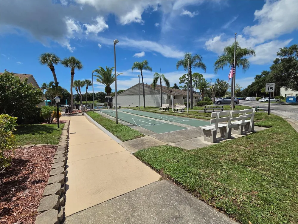 1700 PINE RIDGE WAY E #C1 Palm Harbor, FL 34684