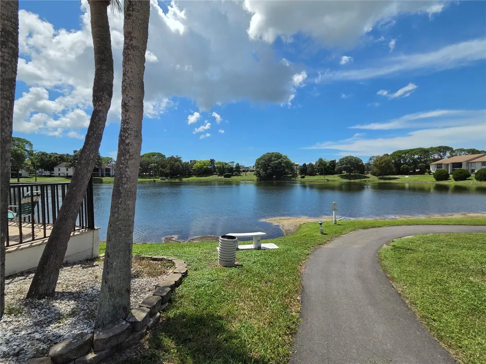 1700 PINE RIDGE WAY E #C1 Palm Harbor, FL 34684