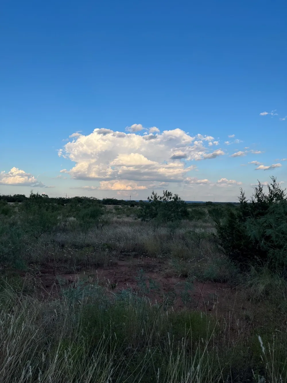 2889 County Road 131 Tuscola, TX 79562