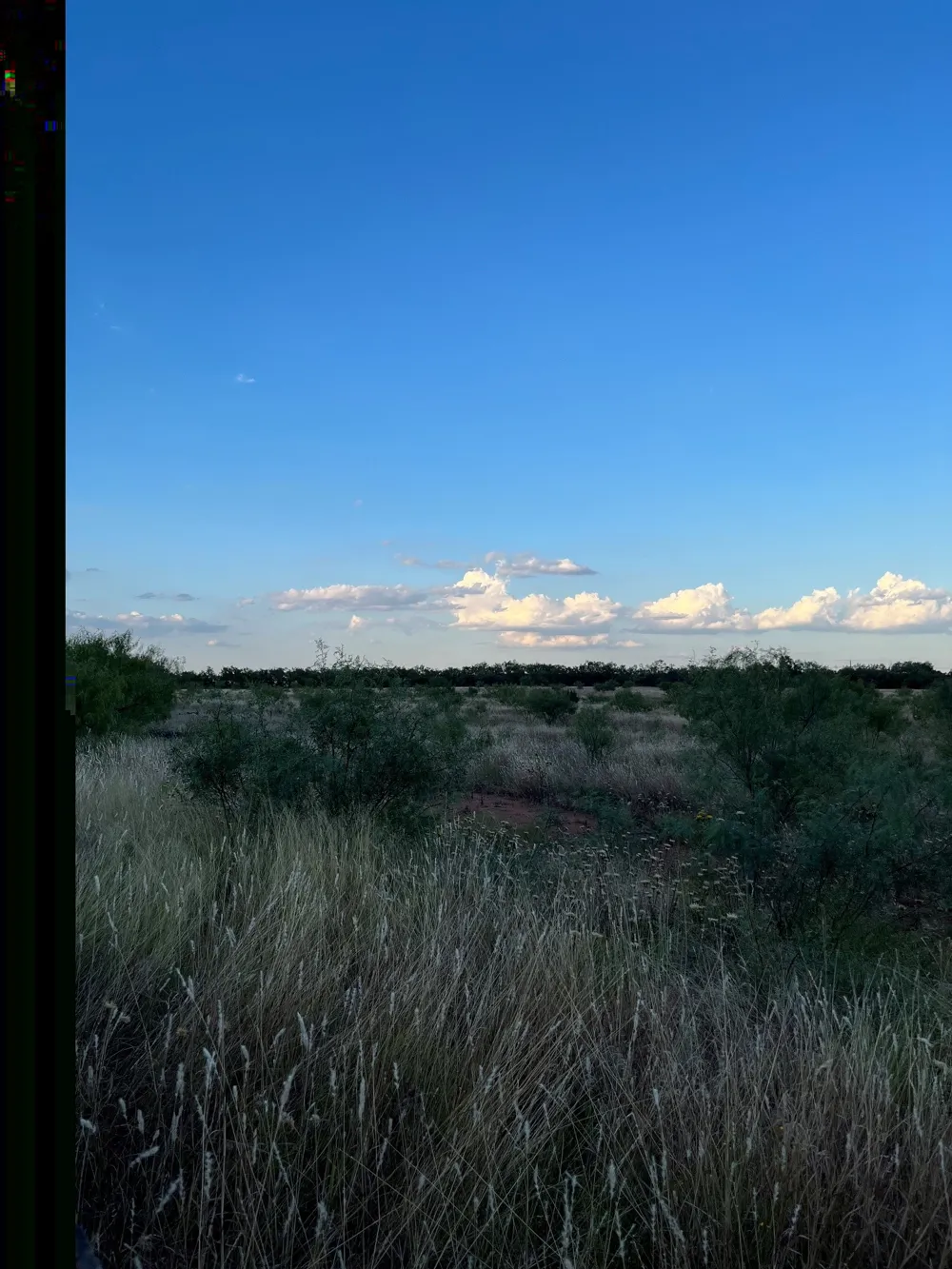 2889 County Road 131 Tuscola, TX 79562