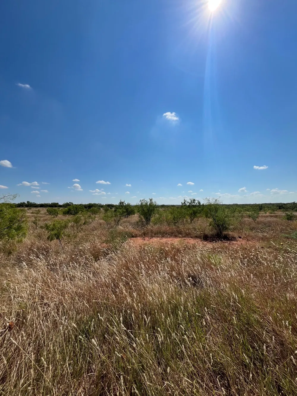 2889 County Road 131 Tuscola, TX 79562