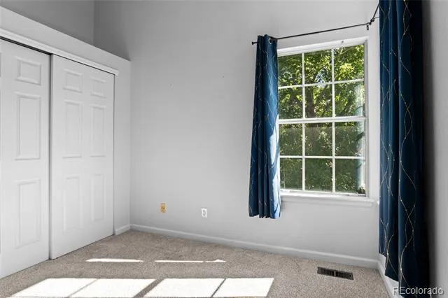 4682 Blazingstar Trail Castle Rock, CO 80109