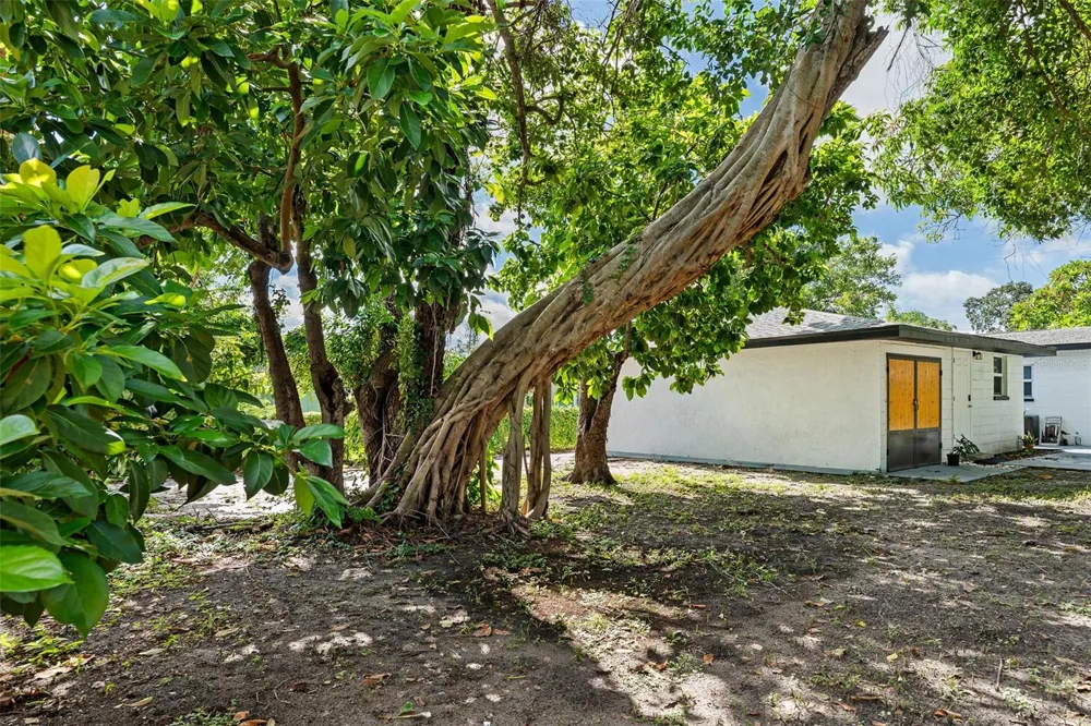1835 15TH AVENUE S St Petersburg, FL 33712