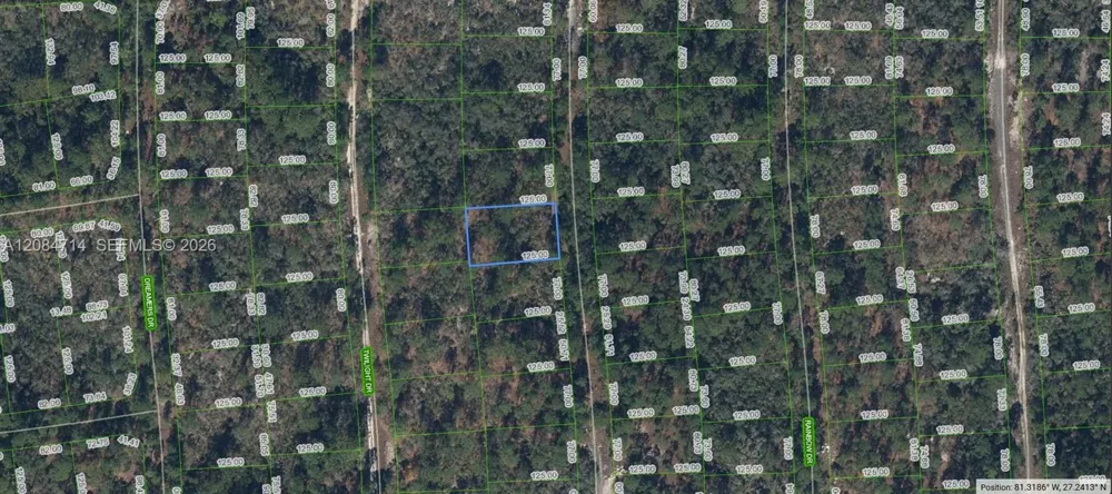 268 Blue Heaven Dr Lake Placid, FL 33852