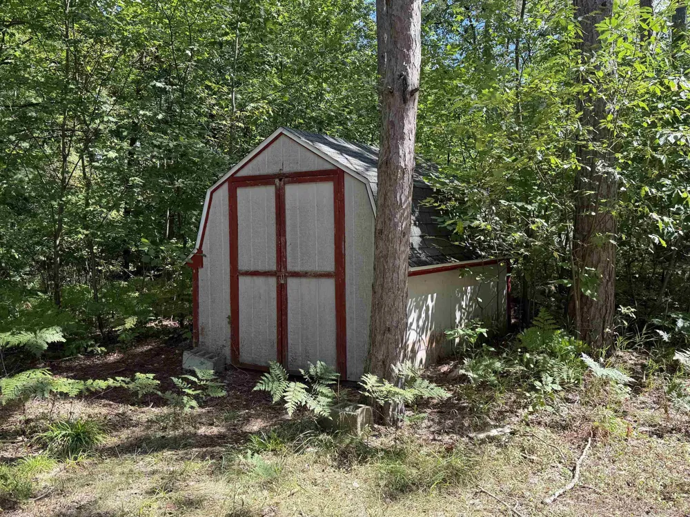 705 Pine Kearney Township, MI 49615