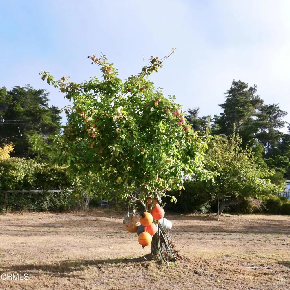 19231 Summers Lane Fort Bragg, CA 95437