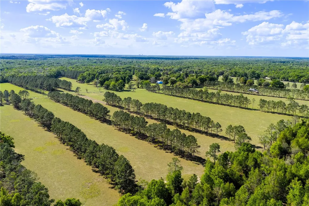 4639 SW WILSON SPRINGS ROAD Fort White, FL 32038