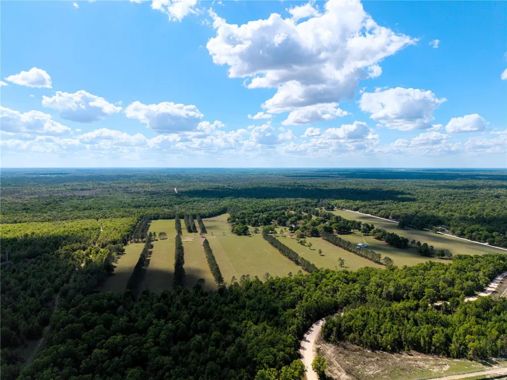 4639 SW WILSON SPRINGS ROAD Fort White, FL 32038