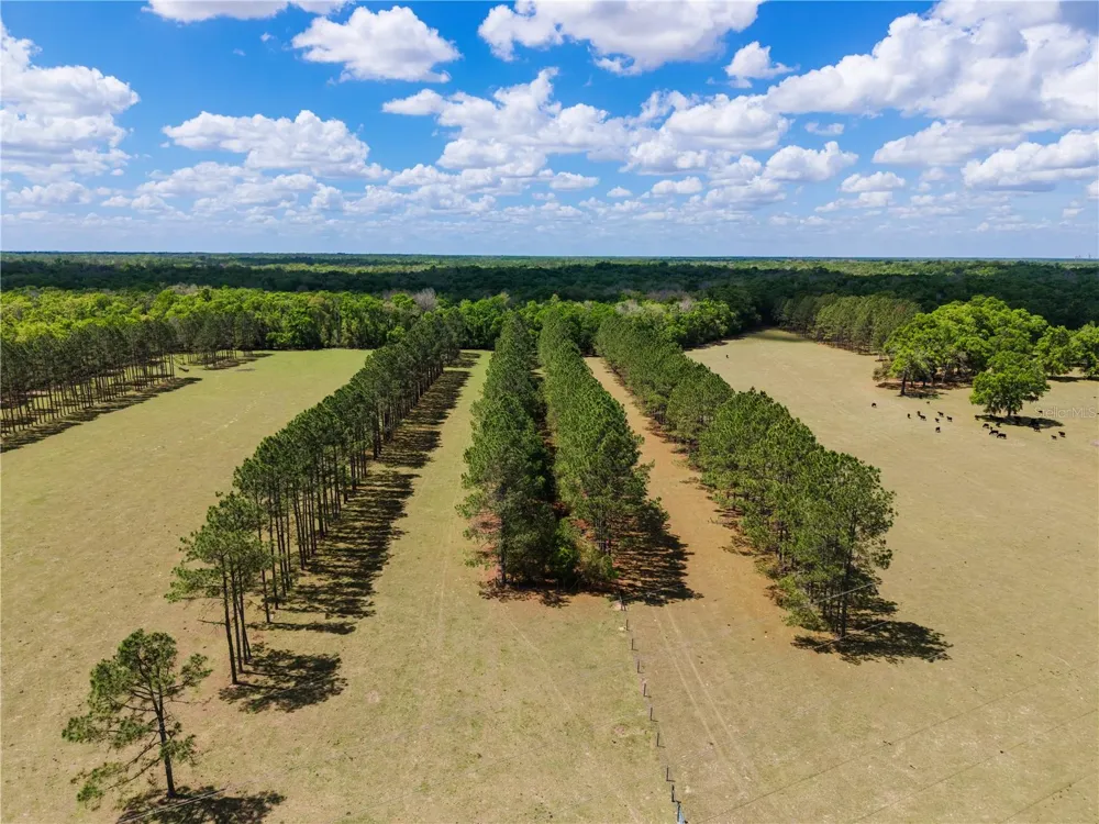 4639 SW WILSON SPRINGS ROAD Fort White, FL 32038