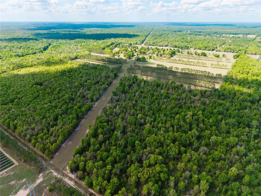 4639 SW WILSON SPRINGS ROAD Fort White, FL 32038