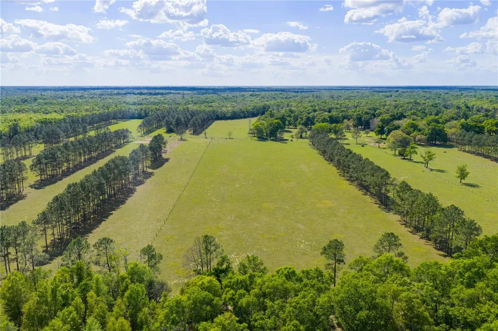 4639 SW WILSON SPRINGS ROAD Fort White, FL 32038