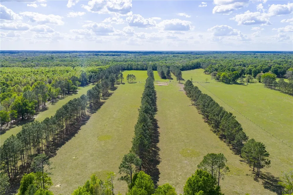 4639 SW WILSON SPRINGS ROAD Fort White, FL 32038