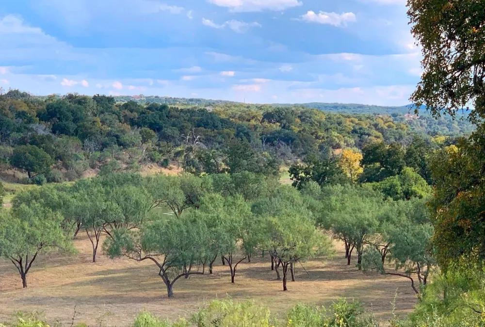 3220 Fall Creek Estates Drive Spicewood, TX 78669