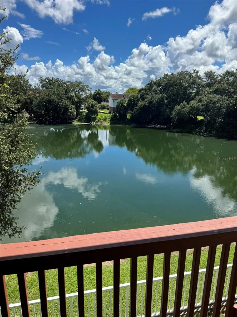 9004 SHALLOWFORD LANE ##201 Port Richey, FL 34668