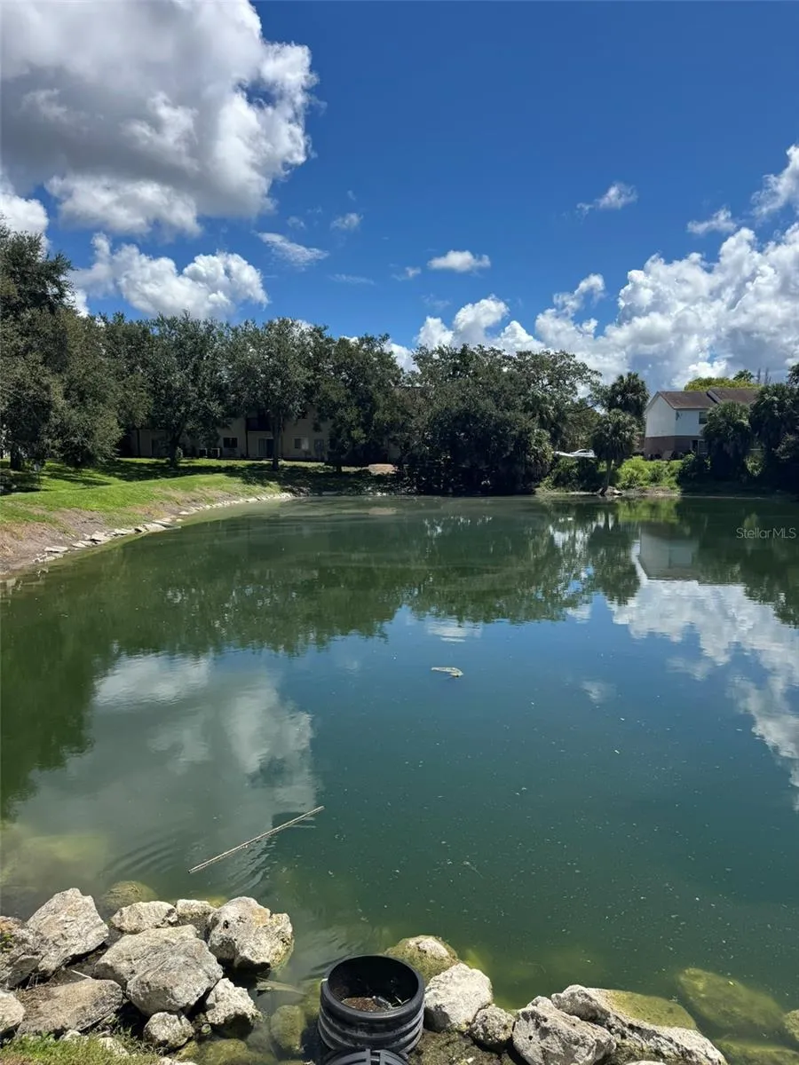 9004 SHALLOWFORD LANE ##201 Port Richey, FL 34668