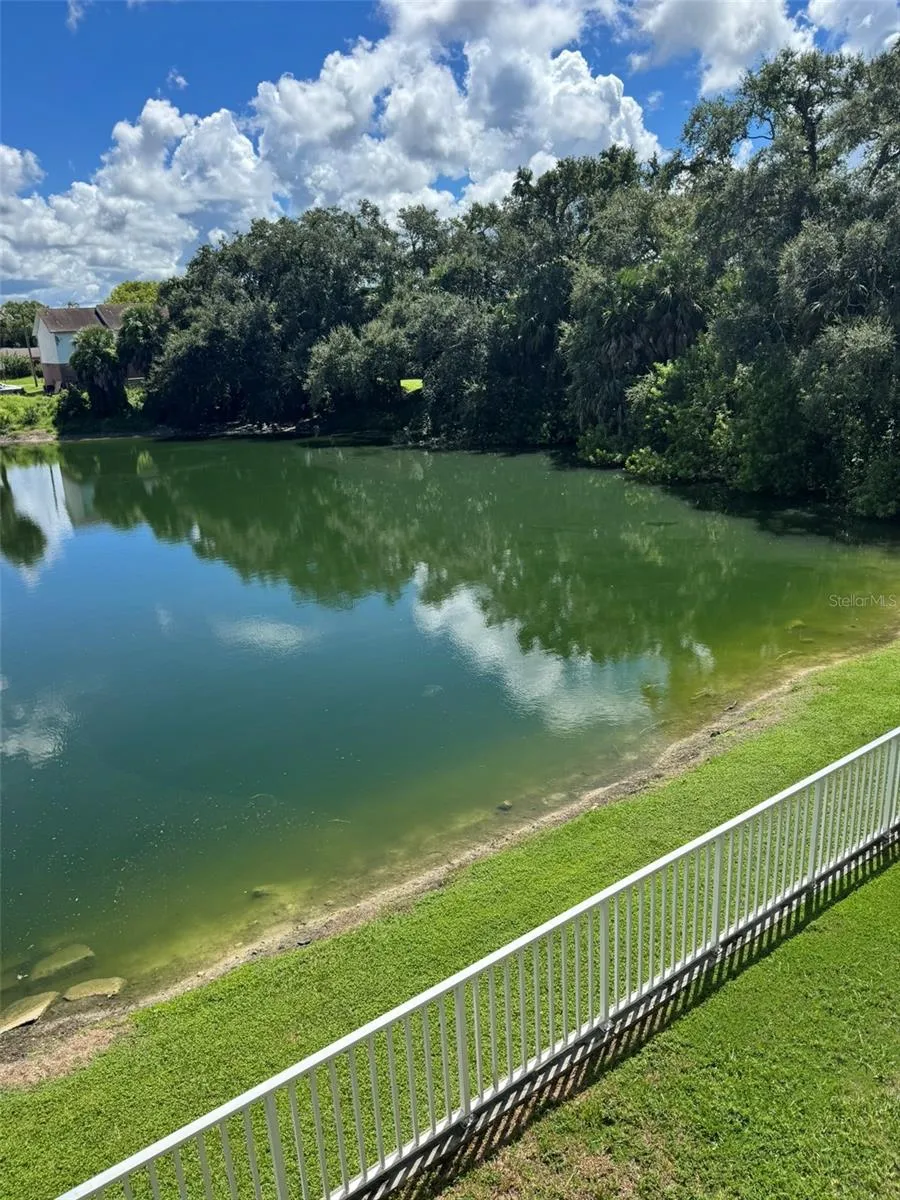 9004 SHALLOWFORD LANE ##201 Port Richey, FL 34668