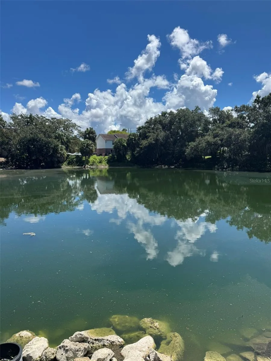 9004 SHALLOWFORD LANE ##201 Port Richey, FL 34668