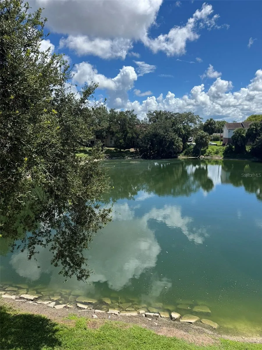 9004 SHALLOWFORD LANE ##201 Port Richey, FL 34668
