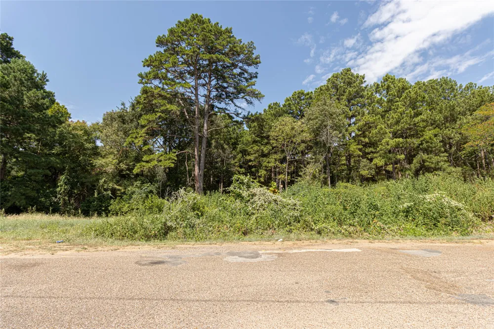 VALLEY VIEW Frankston, TX 75763