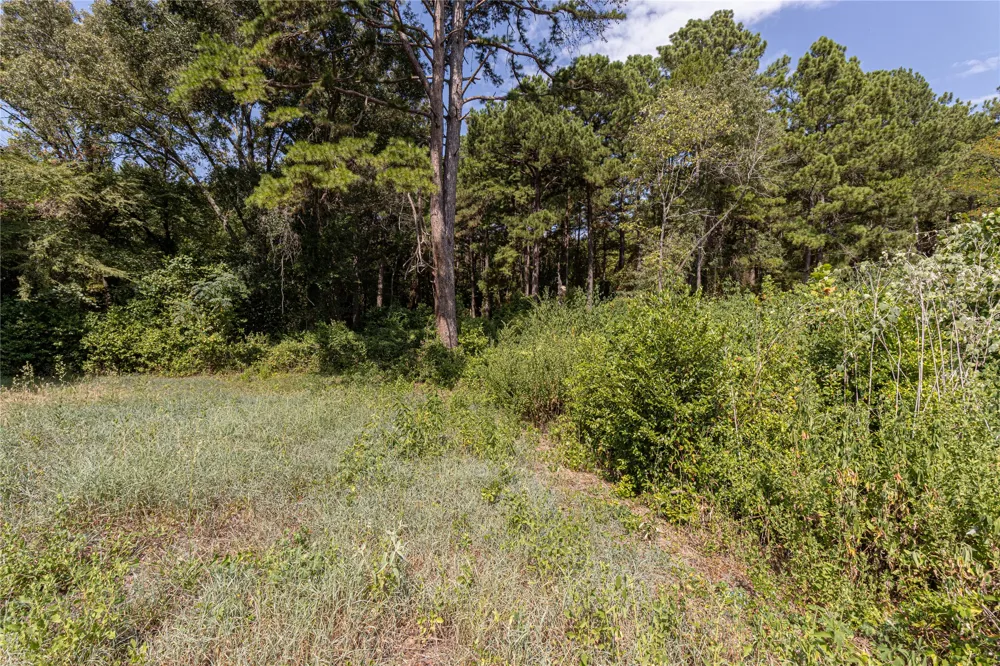 VALLEY VIEW Frankston, TX 75763