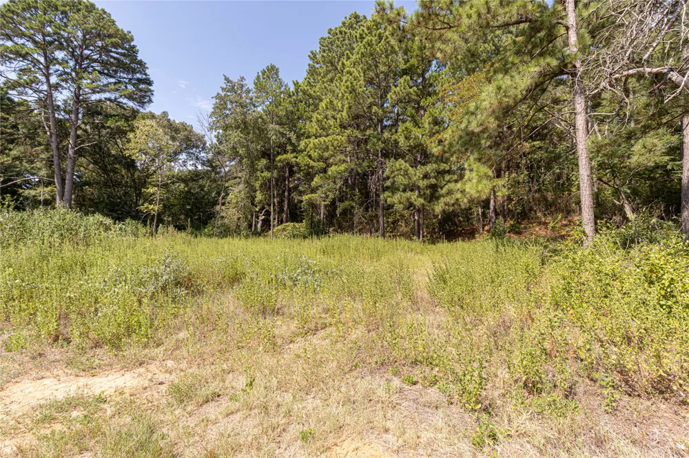 VALLEY VIEW Frankston, TX 75763