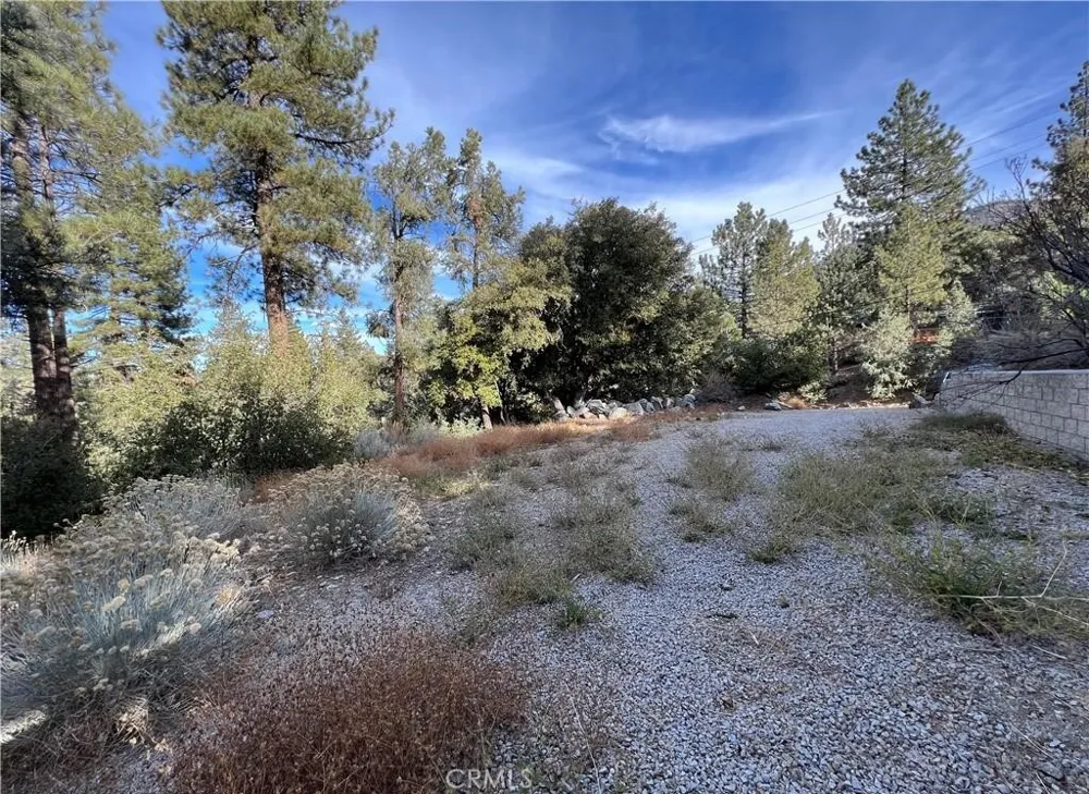 1825 Bernina Drive Pine Mountain Club, CA 93222