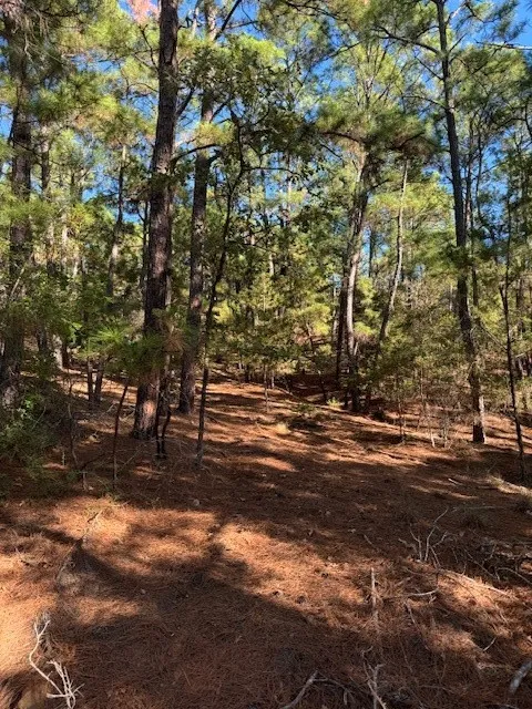 1395 Kaupa Court Bastrop, TX 78602