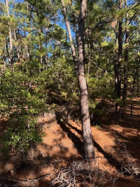 1395 Kaupa Court Bastrop, TX 78602