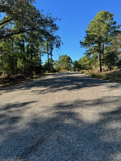 1395 Kaupa Court Bastrop, TX 78602