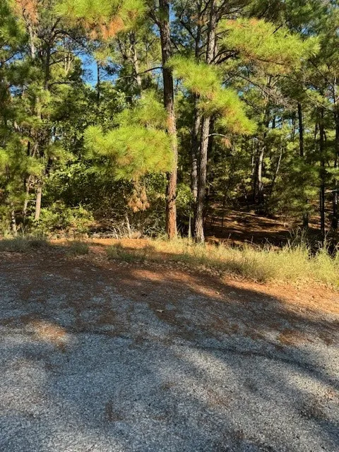 1395 Kaupa Court Bastrop, TX 78602