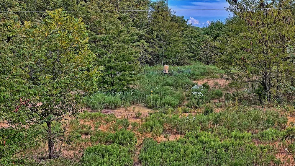 US-82 St Jo, TX 76265
