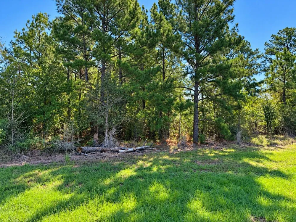 Oakwood Drive Huntsville, TX 77320