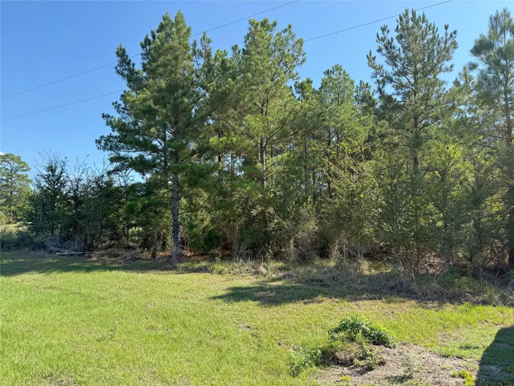 Oakwood Drive Huntsville, TX 77320
