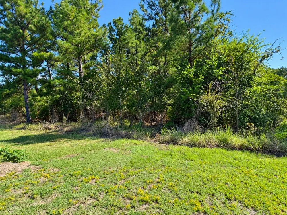 Oakwood Drive Huntsville, TX 77320