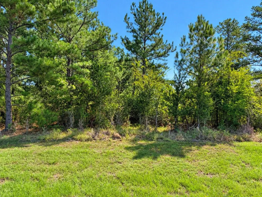 Oakwood Drive Huntsville, TX 77320