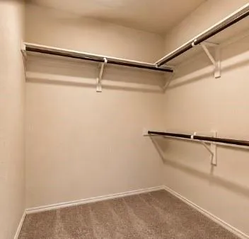 2634 Prancing Stream Drive Spring, TX 77373