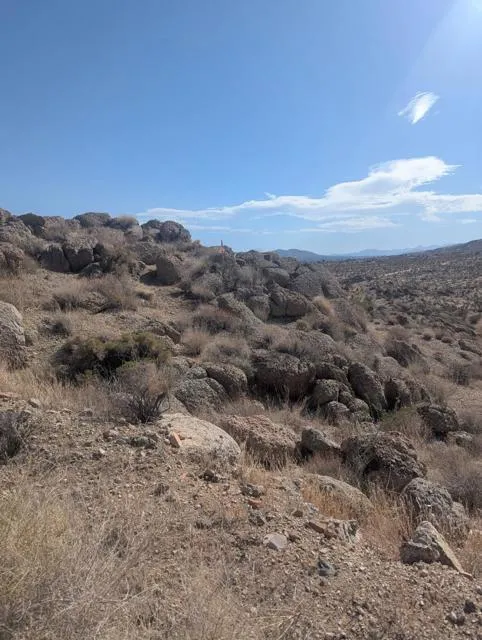 Apn#0601-241-14-0-000 - Alta Avenue Yucca Valley, CA 92284