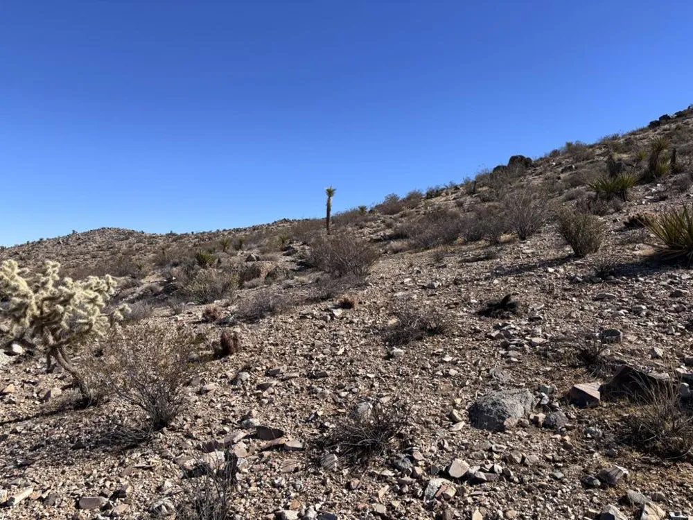 Apn#0601-241-14-0-000 - Alta Avenue Yucca Valley, CA 92284
