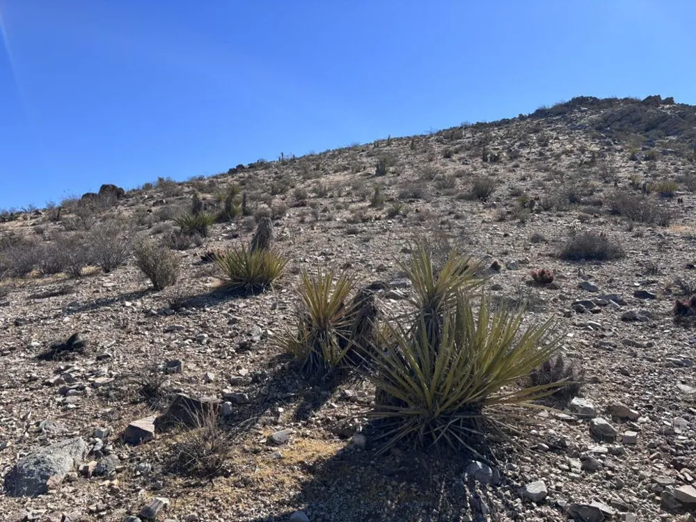 Apn#0601-241-14-0-000 - Alta Avenue Yucca Valley, CA 92284