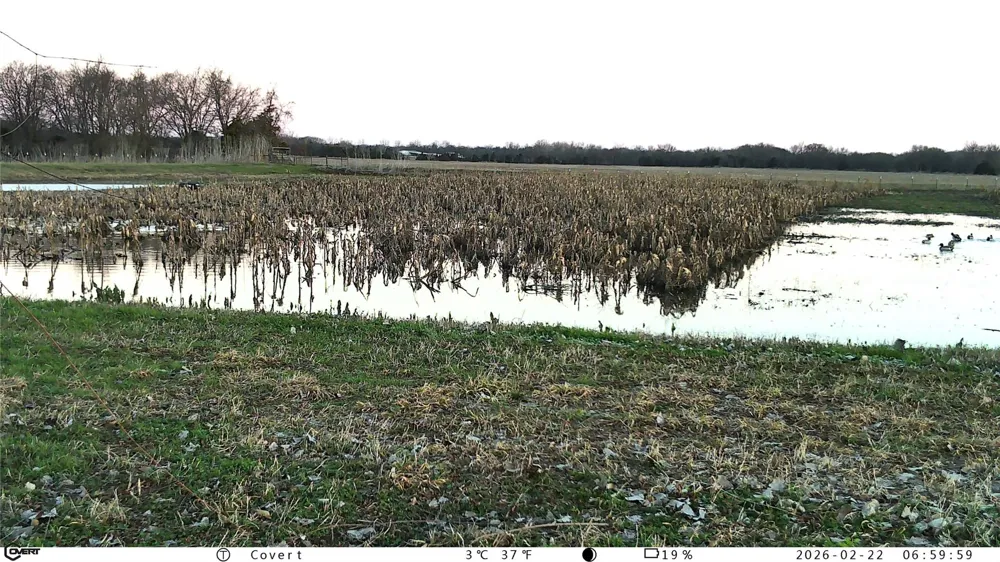 1075 County Road 24280 Roxton, TX 75477