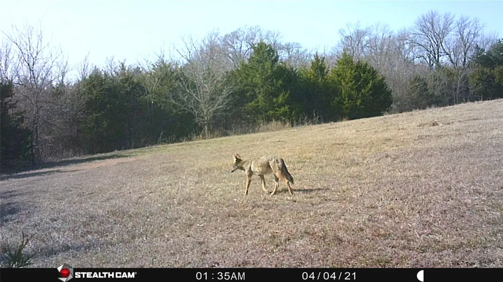1075 County Road 24280 Roxton, TX 75477