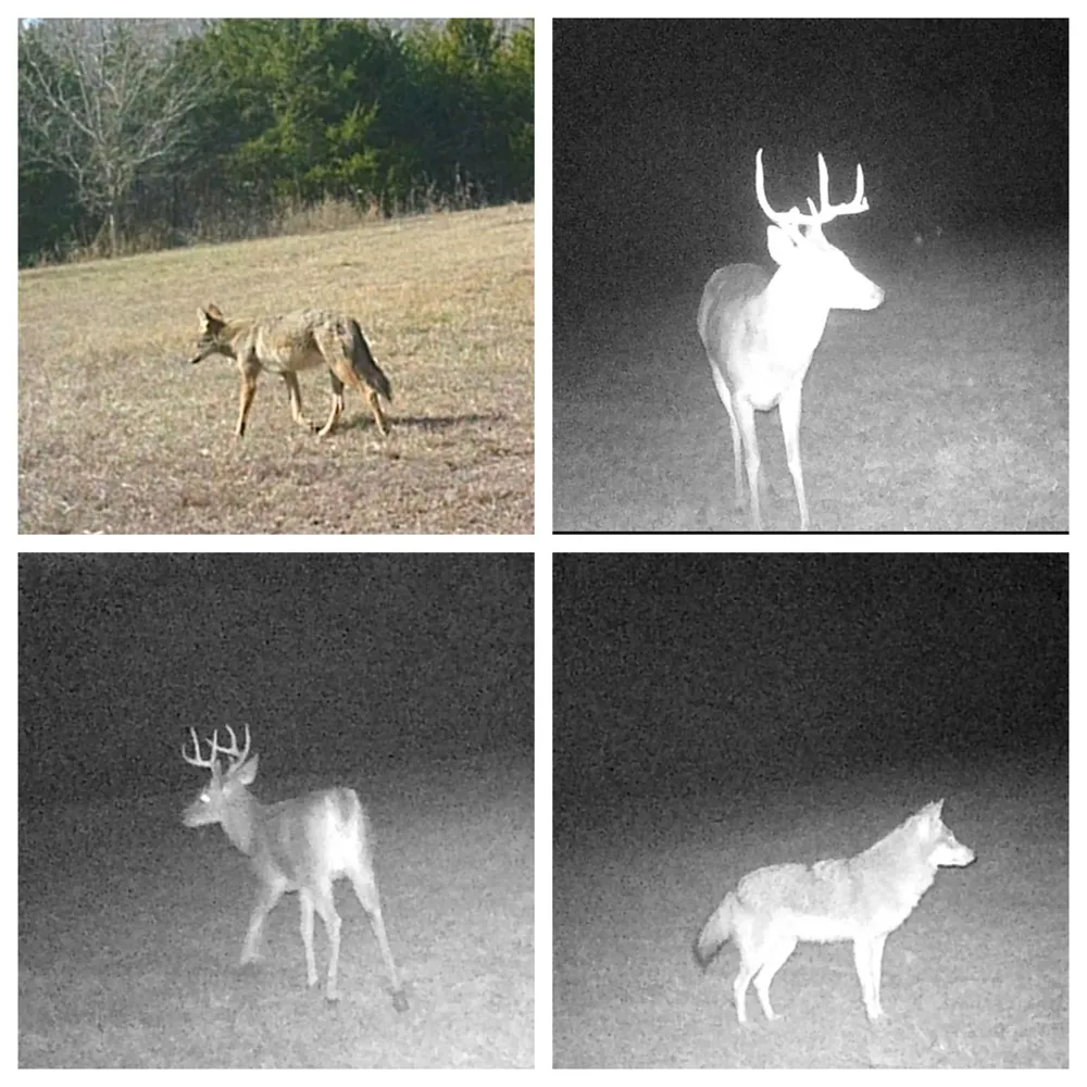 1075 County Road 24280 Roxton, TX 75477